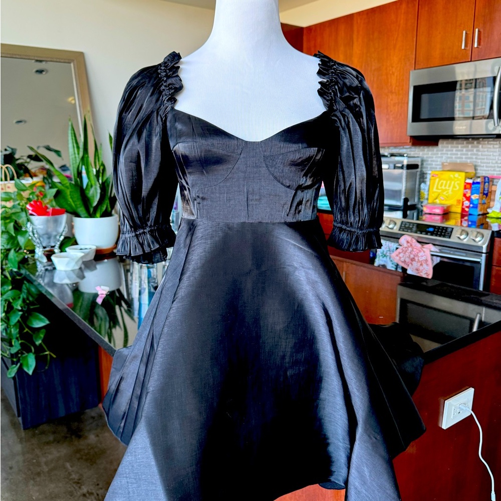 Selkie - Black Swan Recycled Parliament Dress